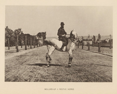 Rolling-up a restive horse, Man on a horse, page, photomechanical print, cliché maker: Römmler &
