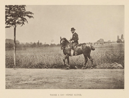 Man riding a shy horse, Taking a shy horse along, page, photomechanical print, cliché maker: