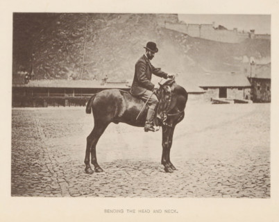 Man on a horse turning the horse's head using the reins, Bending the head and neck, page,