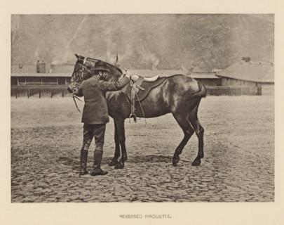 Man in front of a horse, Reversed pirouette, page, photomechanical print, photographer: Alexander