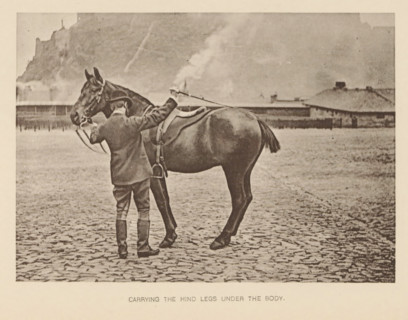 Carrying the hind legs under the body, Man next to a horse, page, photomechanical print,