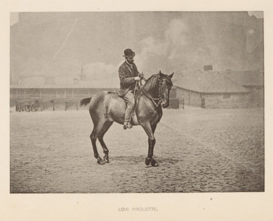 Low pirouette, Man on a horse in dressage, page, photomechanical print, cliché maker: Römmler &
