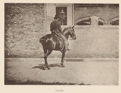 Man on a horse in a travers, Travers, page, photomechanical print, photographer: Alexander Nicol