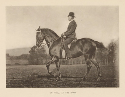 Man on a horse, In hand, at the walk, page, photomechanical print, cliché maker: Römmler & Jonas,