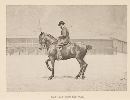 Man on a horse with one front leg up, Half-halt, from the trot, page, photomechanical print,