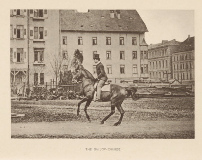 Man on a horse at a gallop, The gallop-change, page, photomechanical print, photographer: