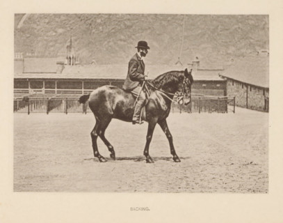 Backing, Man on a horse walking backwards, page, photomechanical print, photographer: Alexander