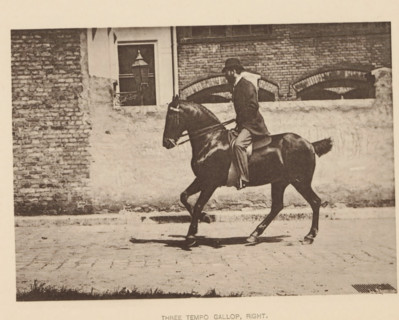 Three tempo gallop, right, Man on a horse at a gallop, page, photomechanical print, photographer: