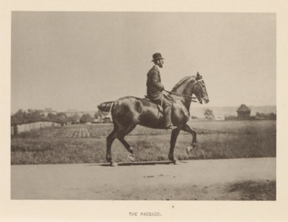 Man on a horse in passage, The passage, page, photomechanical print, cliché maker: Römmler & Jonas,