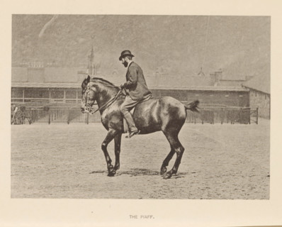 The piaf, Man on a horse in the piaf, page, photomechanical print, photographer: Alexander Nicol