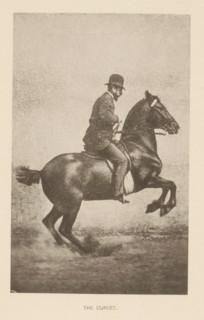 Man on a horse doing a curvet or box jump, The curvet, page, photomechanical print, cliché maker: