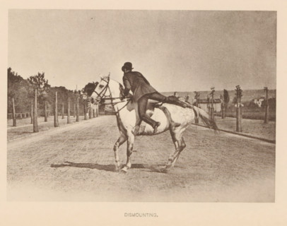 Man dismounting from a horse, Dismounting, page, photomechanical print, cliché maker: Römmler &