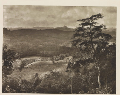 Scenery of the rural areas of Kandy district, Sri Lanka, page, photomechanical print, title:
