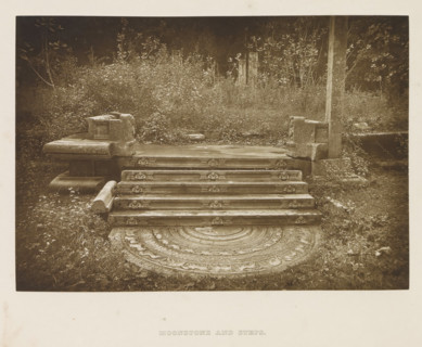 Moonstone and steps in front of the palace of King Mahasena at Anuradhapura, Sri Lanka, page,