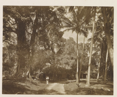 Resthouse at Nalanda Gedidge, Sri Lanka, page, photomechanical print, title: 'REST-HOUSE AT NALANDA
