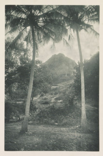 View of Mihintale, Sri Lanka, page, photomechanical print, Mihintale is the place where Buddhism