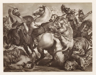 Photo reproduction of a print depicting a lion hunt, photograph, reproduction, page, after print by