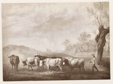 Photo reproduction of a print after a painting, depicting a shepherd with a herd of cows,