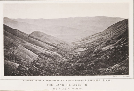 The land he lives in. The Nilagiri plateau, page, photomechanical print, number: 'No. 10',