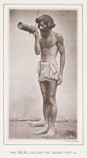 The pâlâl salutes the sacred cattle, page, photomechanical print, number: 'No. 17', photographer: