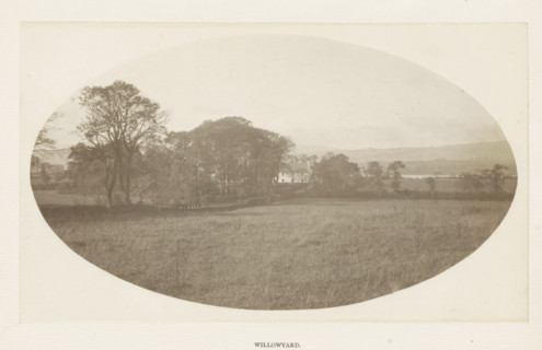 Willowyard, photograph, page, c. 1886 - in or before 1896, photographer, paper, platinum process,