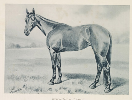 Photographic reproduction of a painting of a horse, presumably an American Trotter, by Frank