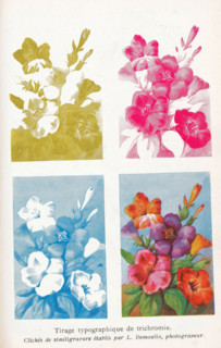 Four photoreproductions of a print of a flower arrangement in different colors, Tirage