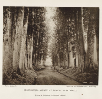 Cryptomeria-avenue at Imaichi near Nikko, page, photomechanical print, inscription: 'Imaichi',