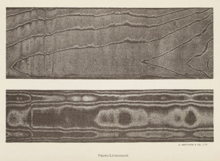 Two transfers from a screen printing frame, page, photomechanical print, inscription: