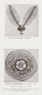 Head and antennae of moth, Section of flower-bud, page, photomechanical print, inscription: 'x 5. x