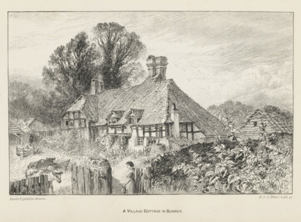 A village cottage in Surrey, reproduction, page, photomechanical print, inscription: 'AD',
