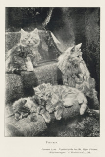 Persians, page, photomechanical print, inscription: 'Exposure 1, 15 sec.', photographer: Edgar