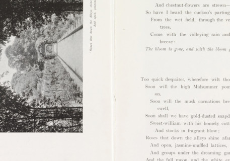 Path (presumably) in a rose garden, page, photomechanical print, inscription: ''Rose that down the
