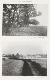 Foothills of Bagley Wood in Oxfordshire and a view of South Hinksey, page, photomechanical print,