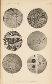 Six microscopic enlargements of minerals, page, photomechanical print, Image 1 is augite, 2 is
