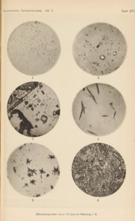 Six microscopic enlargements of minerals, page, photomechanical print, Image 1 is apophyllite, 2 is