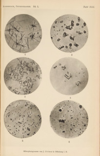 Six microscopic enlargements of minerals, page, photomechanical print, Image 1 is gypsum crystal, 2