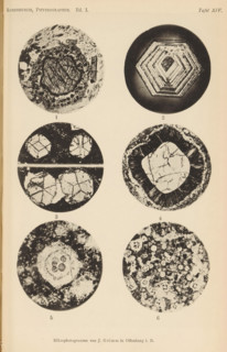 Six microscopic enlargements of minerals, page, photomechanical print, Image 1 is augite and
