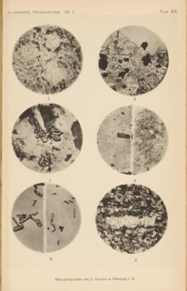 Six microscopic enlargements of minerals, page, photomechanical print, Image 1 is leucite, 2 is
