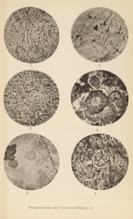 Six microscopic enlargements of minerals, page, photomechanical print, Image 1 is micaceous lime in