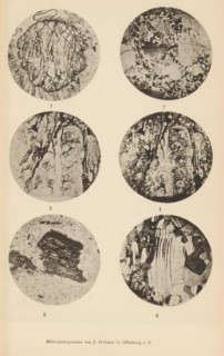 Six microscopic enlargements of minerals, page, photomechanical print, Image 1 is schist, 2 is