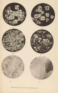 Six microscopic enlargements of minerals, page, photomechanical print, Image 1 is diabase, 2 is