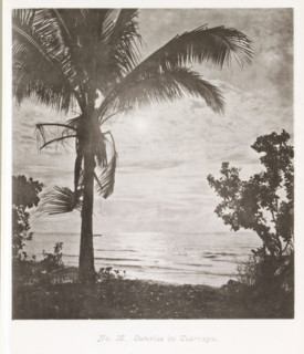 Sunrise in Tiarrapu, View of the Pacific Ocean at sunrise, page, photomechanical print, number: 'No