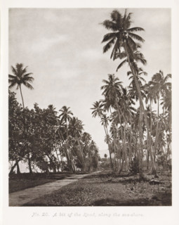 View of a road along the coast in Tahiti, A bit of the Road, along the sea-shore, page,