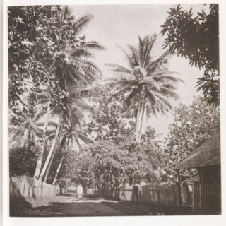 A street in Papeete, View of a street in Papeete on Tahiti, page, photomechanical print, number: