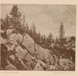 Slope in Austria, Rundhöcker am Eingange der Wiesalpe, page, photomechanical print, number: 'V.',