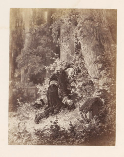Photo reproduction of a painting depicting an old man leaning against a tree in a forest,