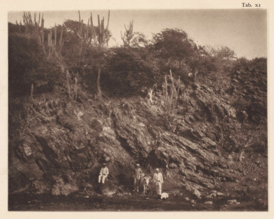 Three men with a donkey in the gorge at the foot of the Sint-Christoffelberg on Curaçao, page,