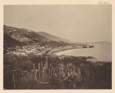 View of La Guaira in Venezuela, page, photomechanical print, number: 'Tab. XVIII.', photographer: