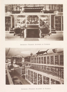 Interior-Peabody Academy of Science, Interior of two halls of the Peabody Academy of Science in